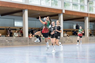 Bild 200 - wBJ HSG Kremperheide/Muensterdorf - HSG Joerl-Doppeleiche Vioel : Ergebnis: 34:23
